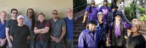 Average White Band and The Family Stone at Thornton Winery Champagne Concert Series