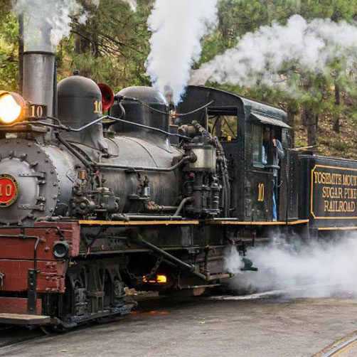 Yosemite Sugar Pine Train